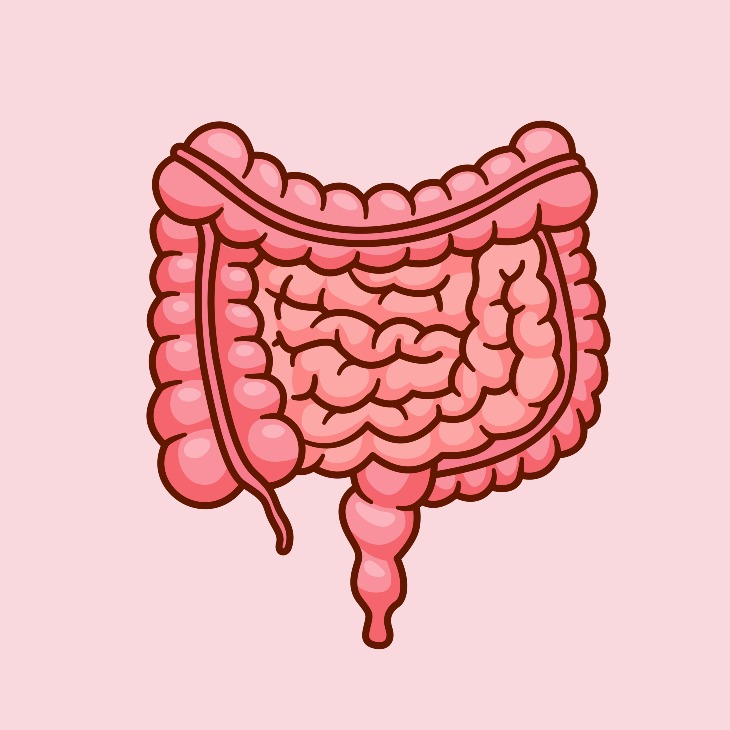 Apa Saja Penyebab Kanker Kolorektal? Ini Faktor Risiko yang Perlu Diketahui