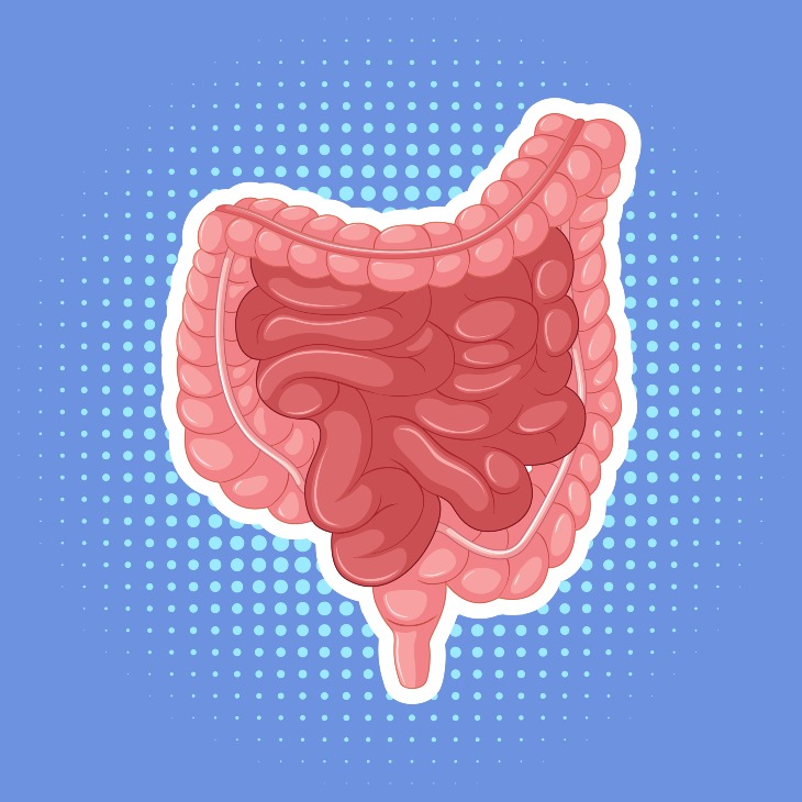 Tumor Usus: Kenali Penyebab, Gejala, Jenis, dan Kapan Harus Diperiksa